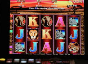 星空全站正式版