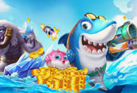 星空全站桌面版客户端